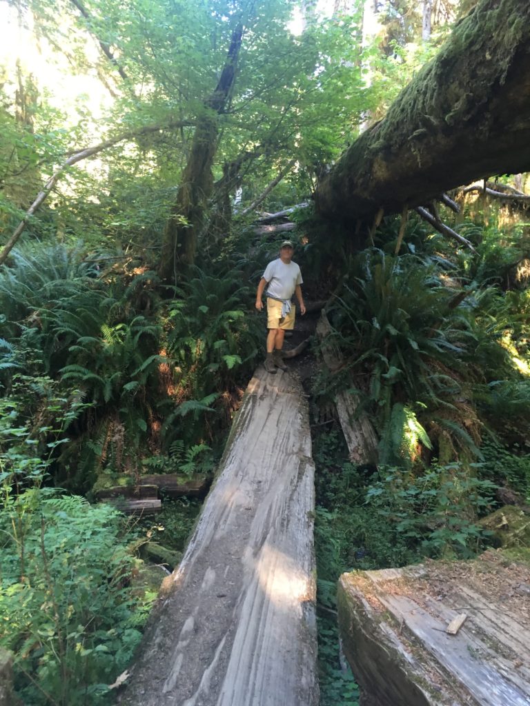 Hoh Rainforest