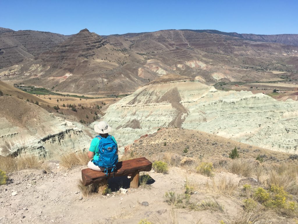 Blue Basin John Day Fossil Beds