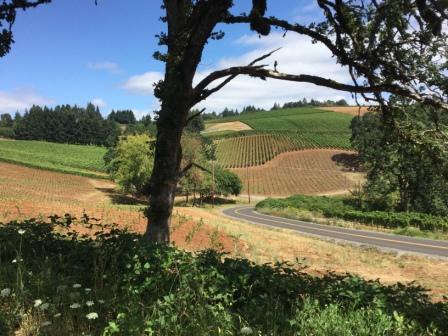 Willamette Valley