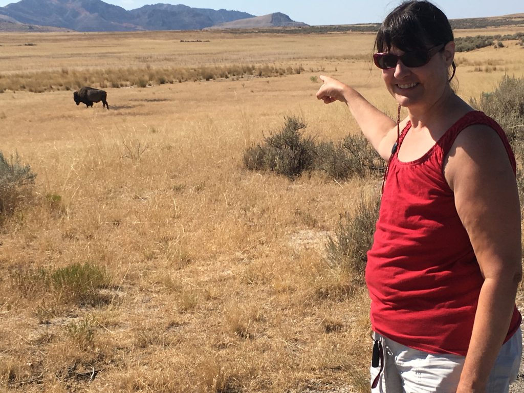 Buffalo Point Trail Antelope Island
