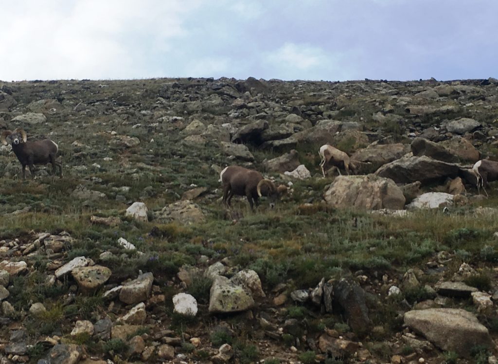 Rocky Mountain National Park