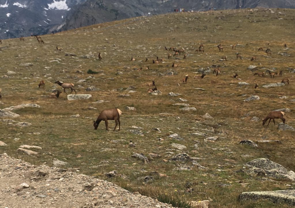 Rocky Mountain National Park