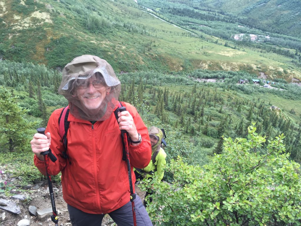 Hiking Wikersham Dome Kantishna