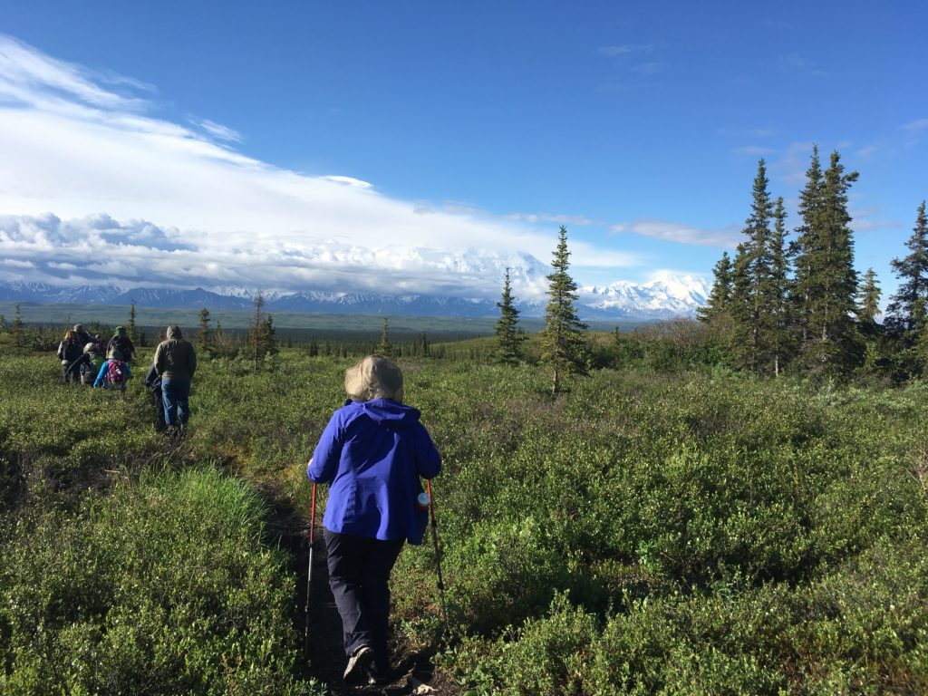 Mckinley Trail