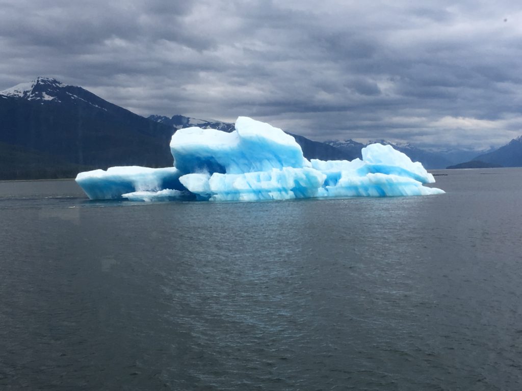 bergy bit Tracy Arm
