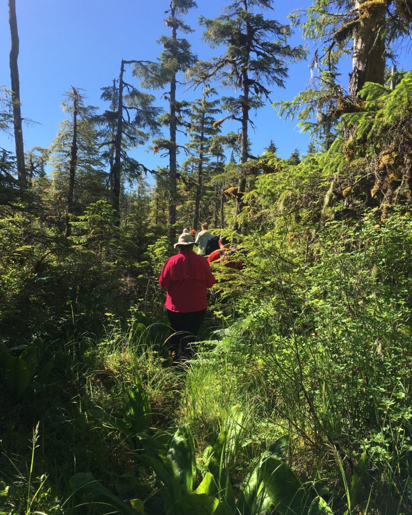 Bushwacking Alaska Uncruise