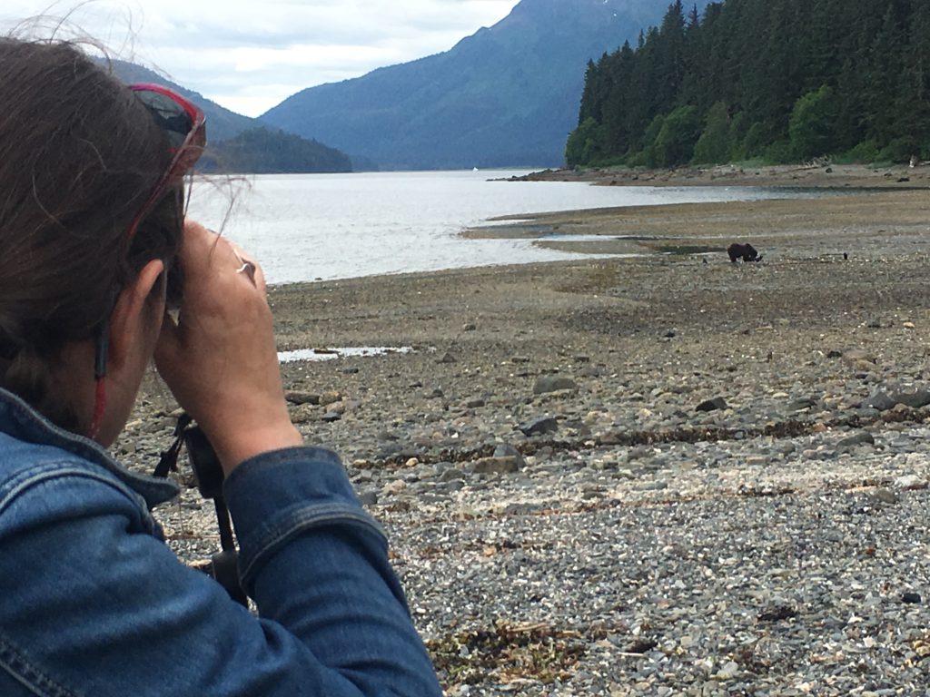 Pack Creek Bear Viewing