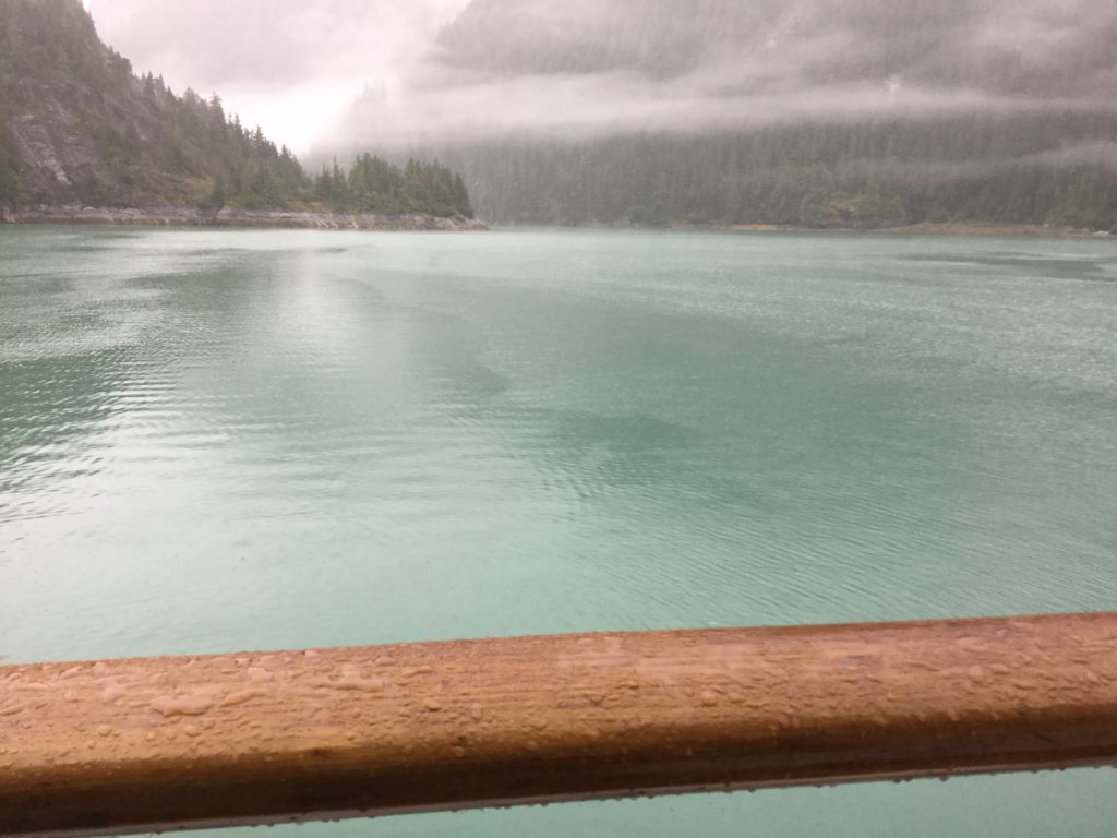 comfort cove kayaking