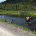 Backroads Hiking Kantishna