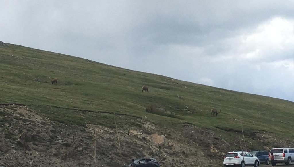 Trail Ridge Road Rocky Mountain National Park