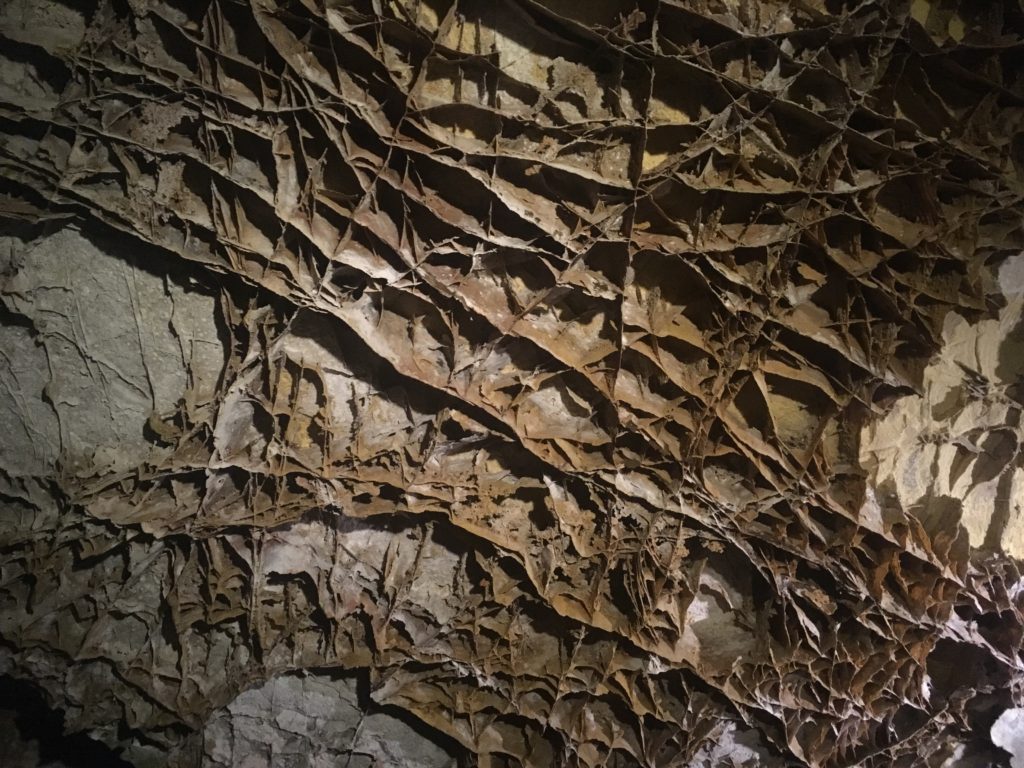 Wind Cave National Park, South Dakota