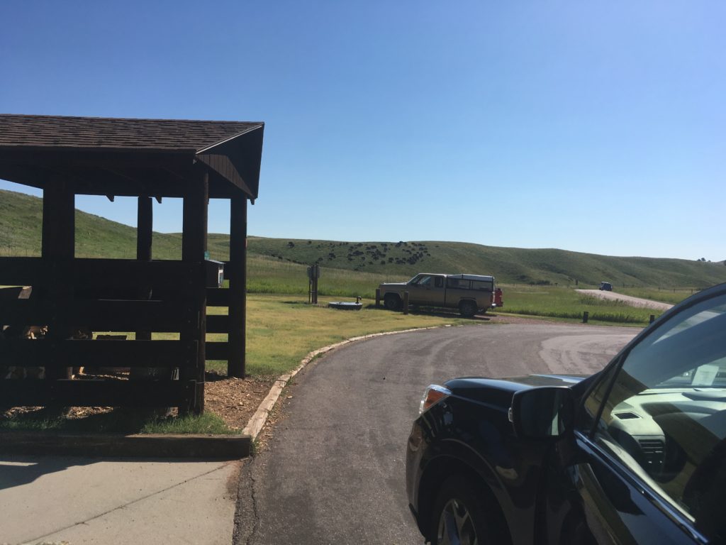 Elk Mountain Campground, Wind Cave National Park, Bison herd