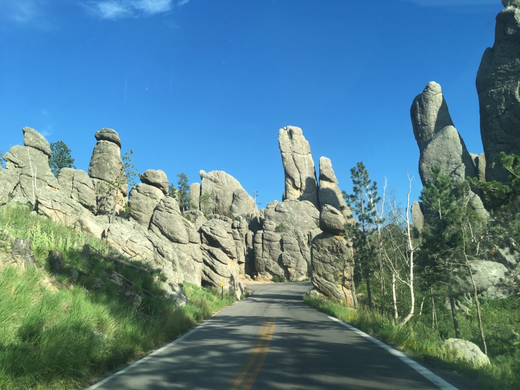 Needles Highway, Custer State Park