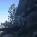 Needles Highway, Custer State Park