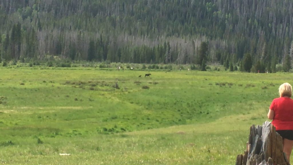 Rocky Mountain National Park