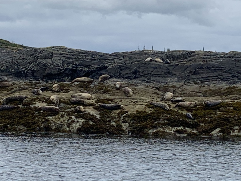Point of Sleat, Scotland, Isle of Skye, Scottish Highlands