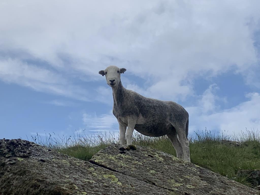 Wainwright C2C, Hiking England, Lakes District National Park