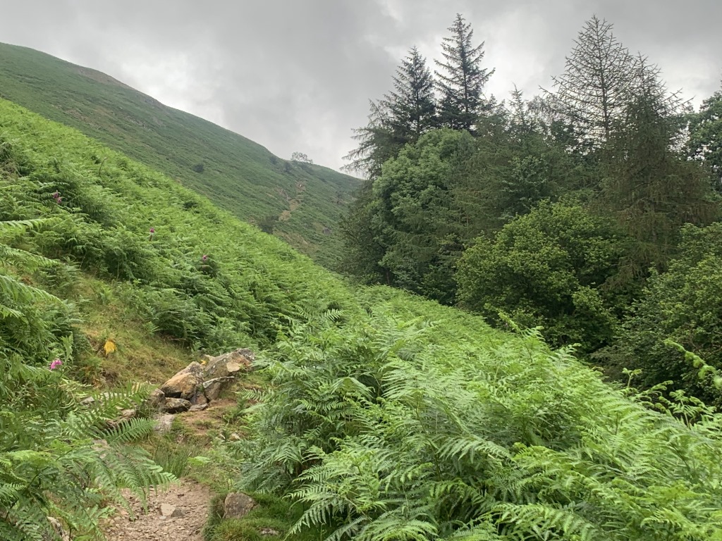 Wainwright C2C, Lake District, England Hiking, Patterdale, Wainwright Coast to Coast