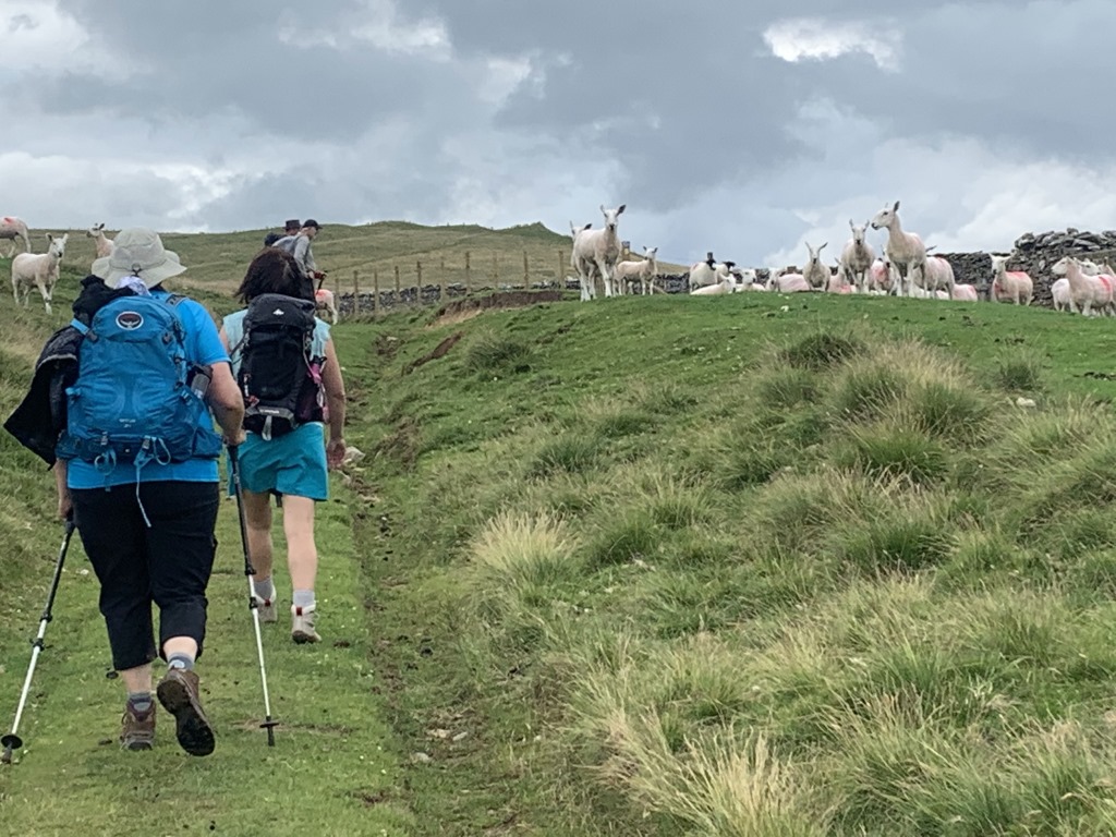Wainwright C2C, Raisbeck, Yorkshire Dales
