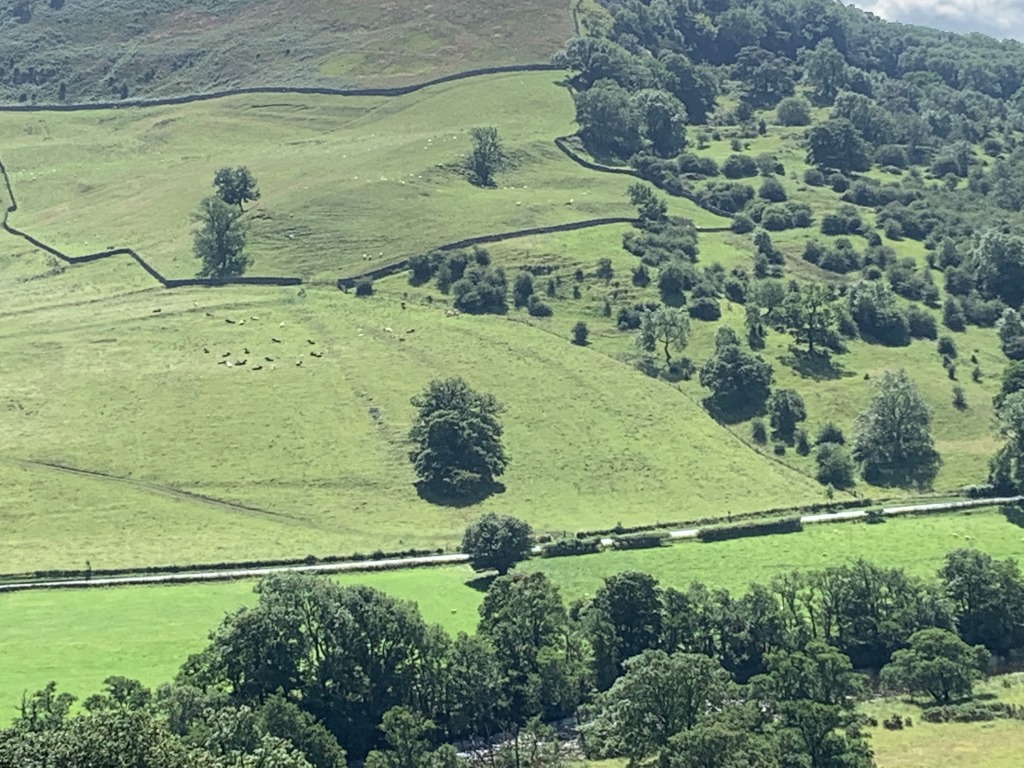 Wainwright C2C, Reeth, Richmond