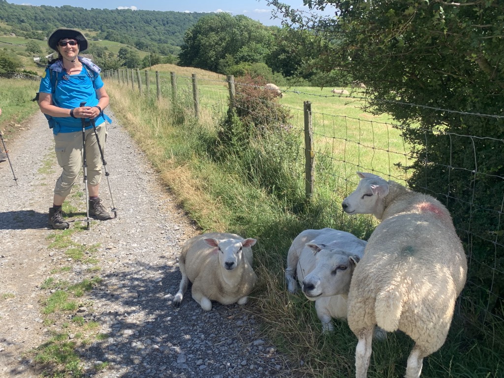Wainwright C2C, Reeth, Richmond