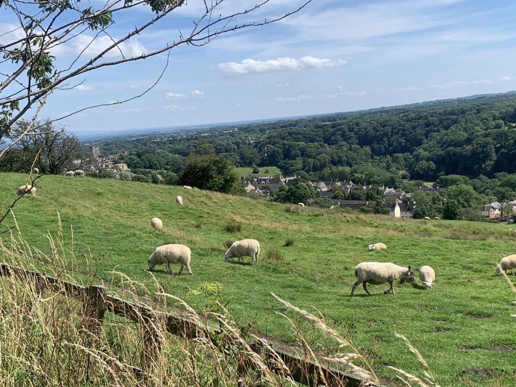 Wainwright C2C, Richmond