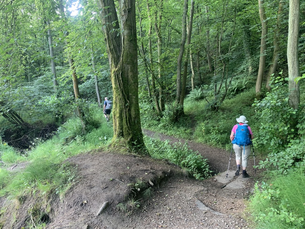 Wainwright C2C, Danby Wiske, North Yorkshire, England Hiking