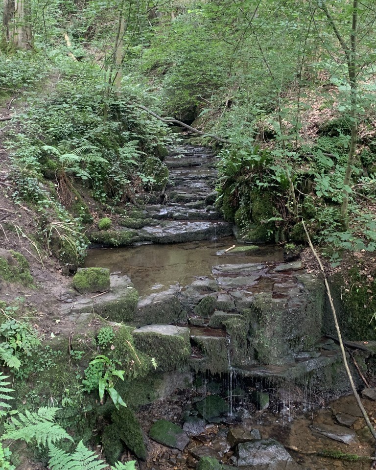 Wainwright C2C, Danby Wiske, North Yorkshire, England Hiking