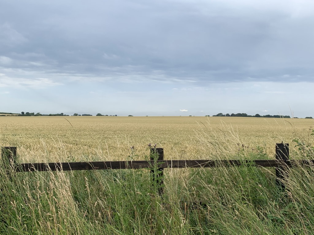 Wainwright C2C, Danby Wiske, North Yorkshire, England Hiking