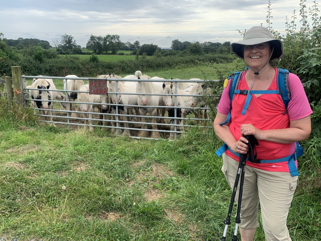 Wainwright C2C, Danby Wiske, North Yorkshire, England Hiking