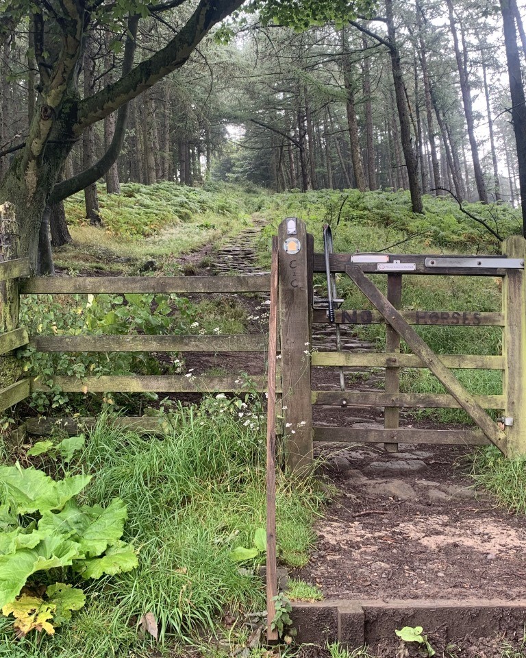 Wainwright C2C, Blakey Ridge, Hiking England, York Moors