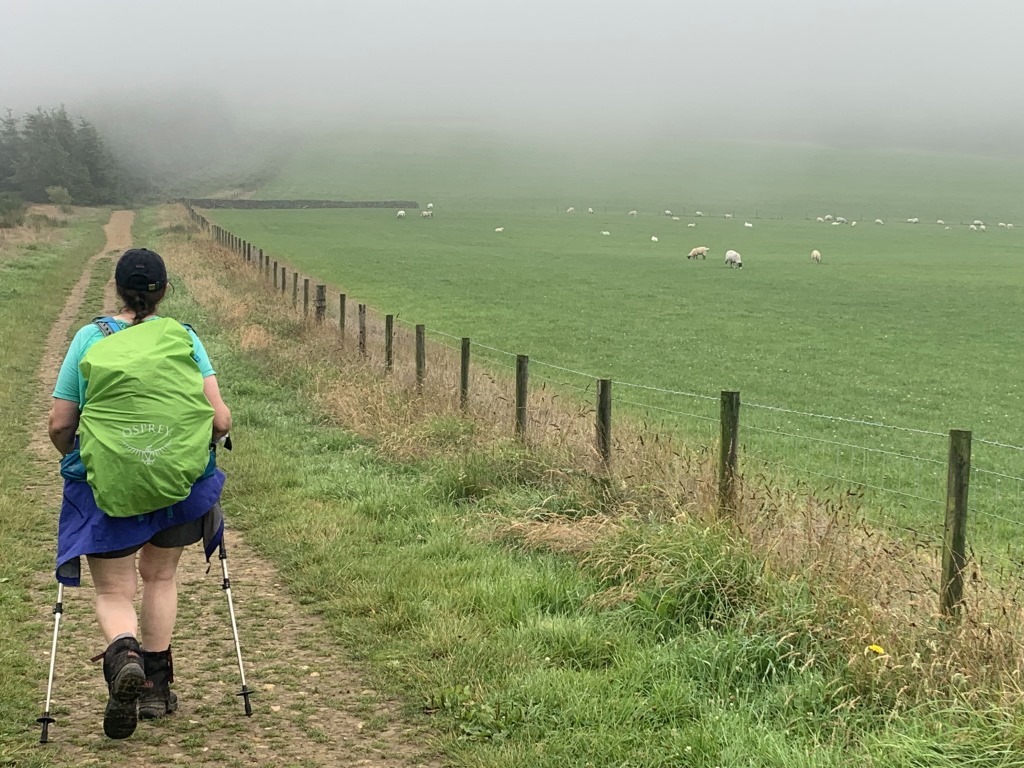 Wainwright C2C, Blakey Ridge, Hiking England, York Moors