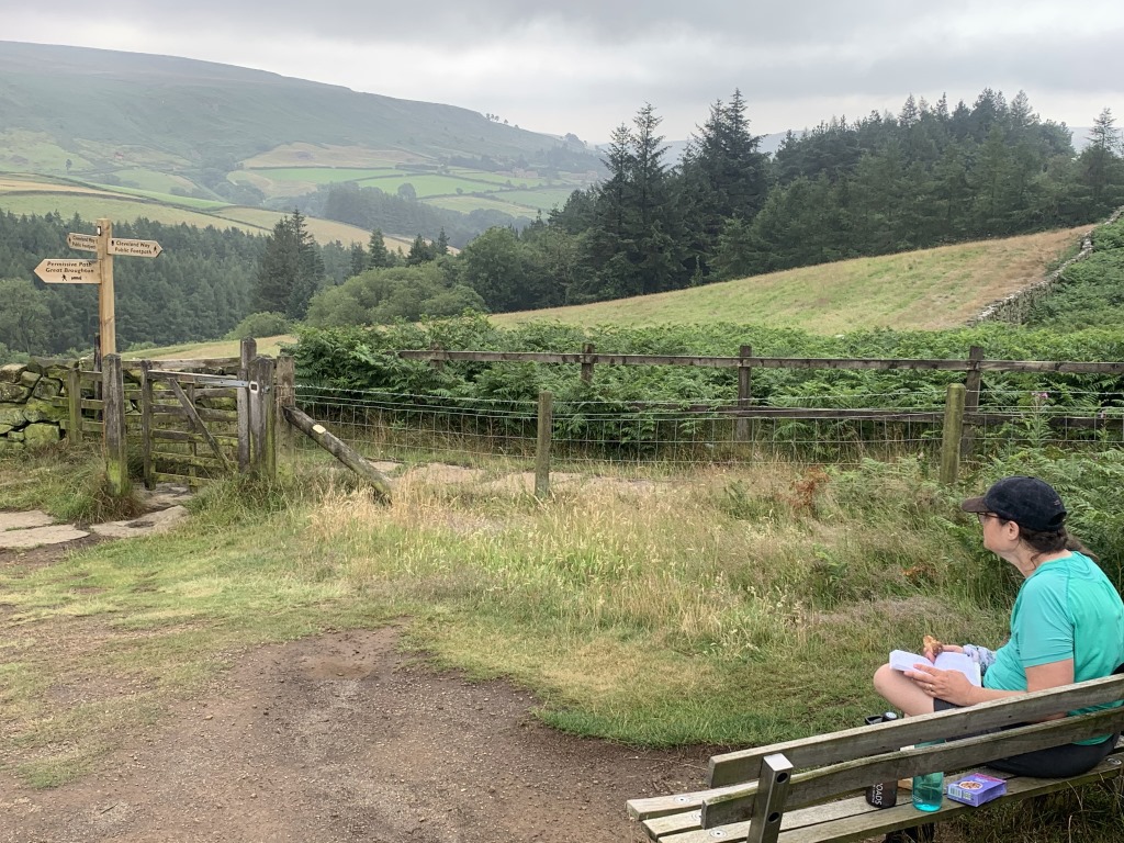 Wainwright C2C, Blakey Ridge, Hiking England, York Moors