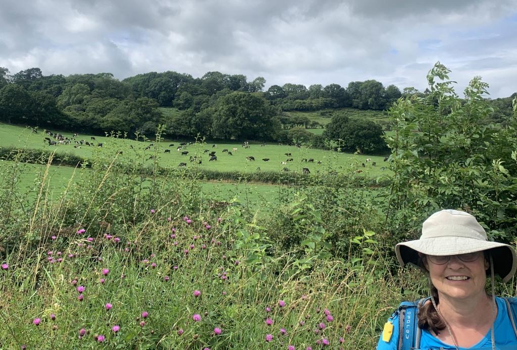 Wainwright C2C, Grossmont, Hiking England, Moors