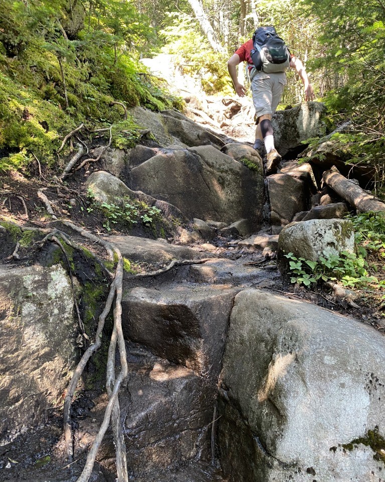 Whiteface Mountain Trail