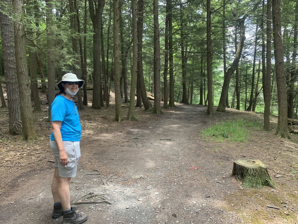 South Rim Trail