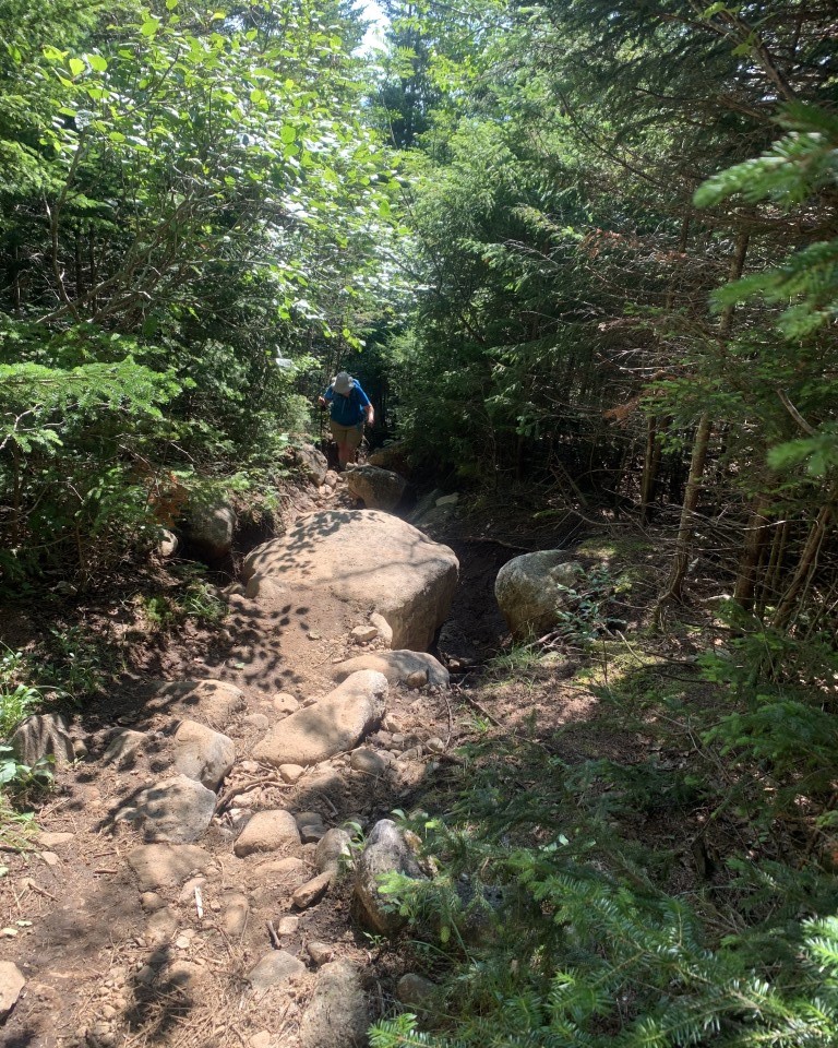 Whiteface Mountain Trail