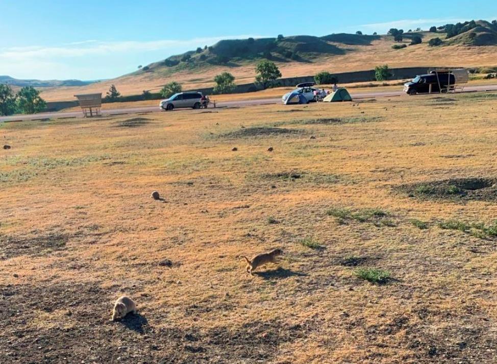 Sage Creek Campground Badlands