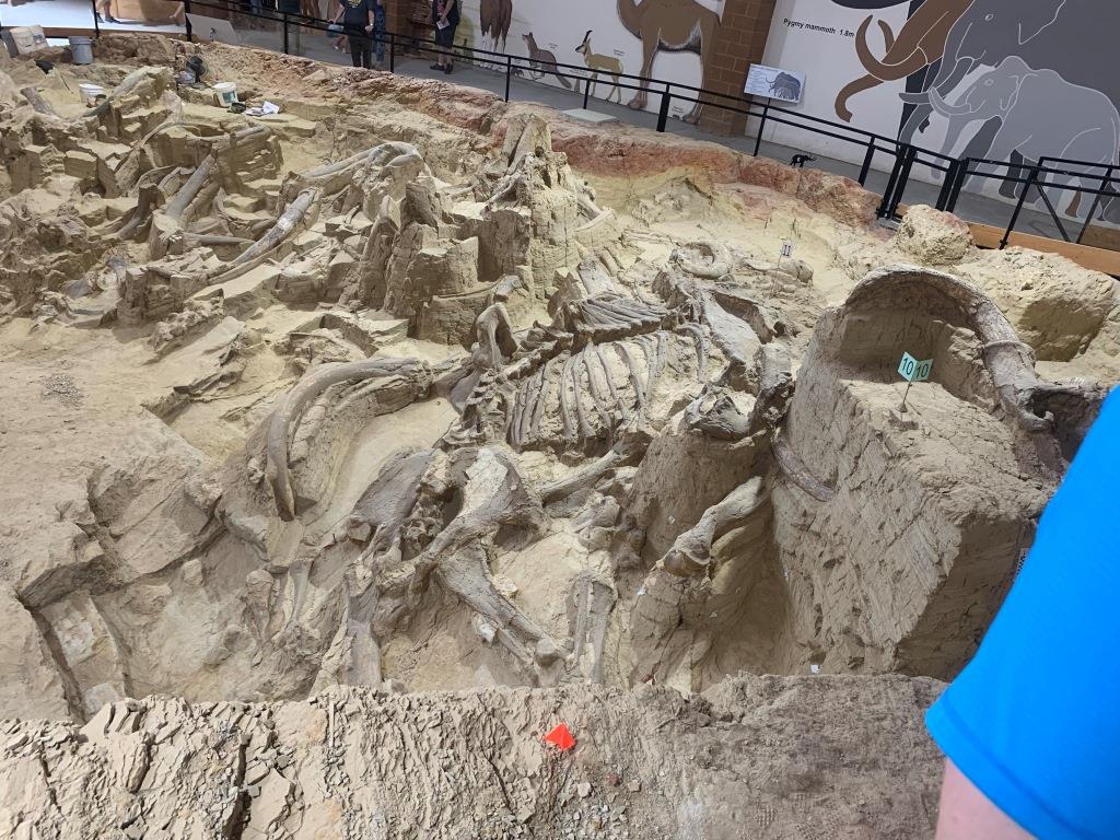 Mammoth Site