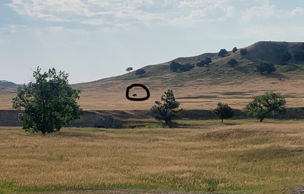 Sage Creek Campground Badlands