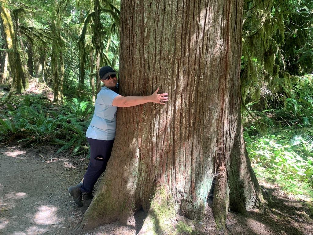 Marymere Falls Trail