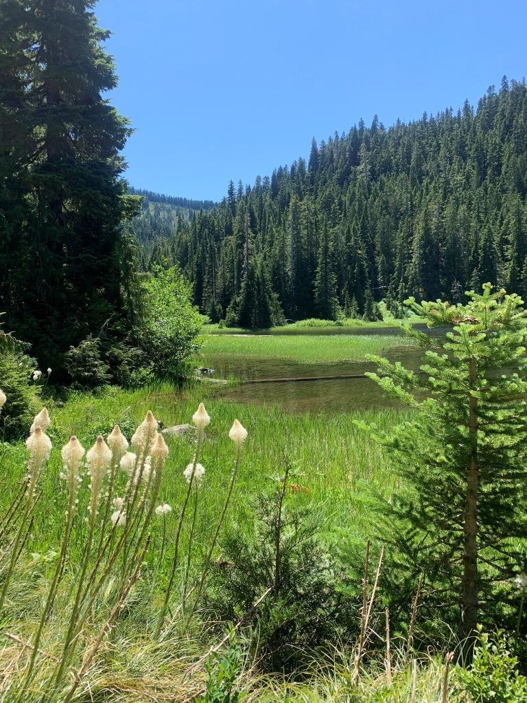 Sol Duc Trail