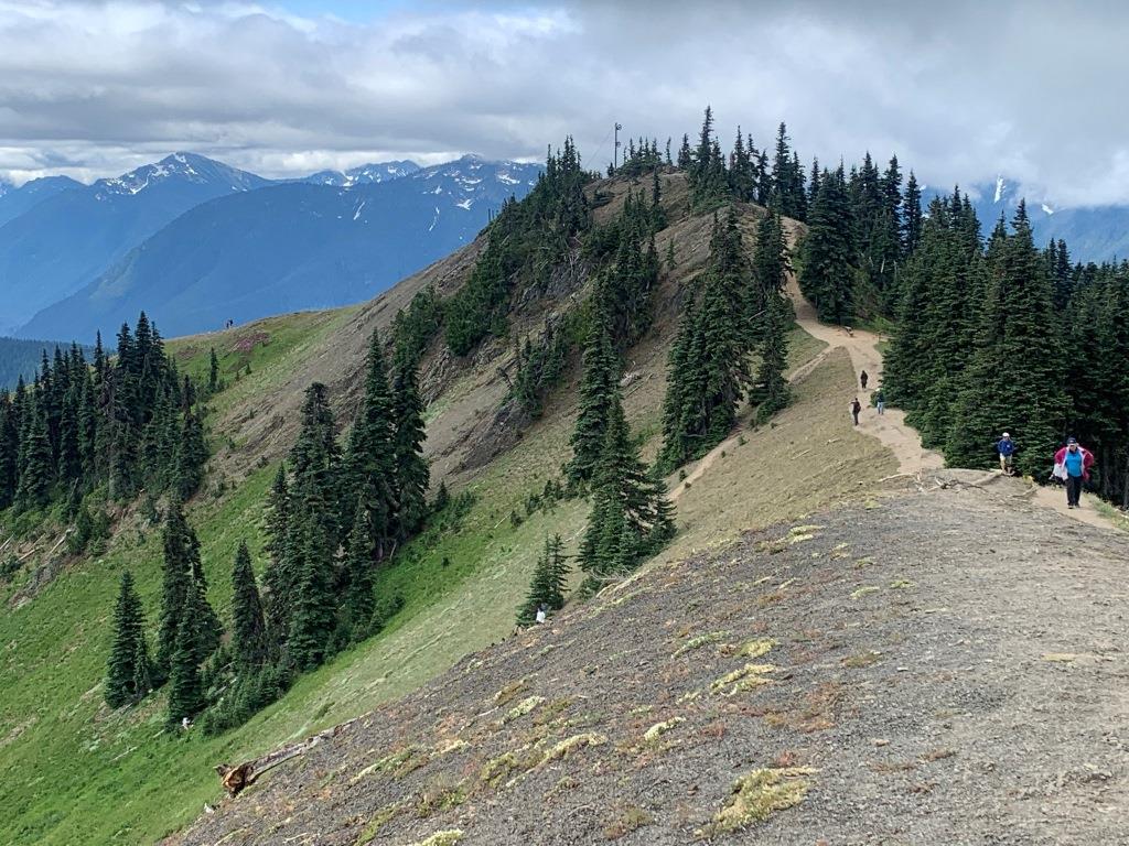 Hurricane Ridge
