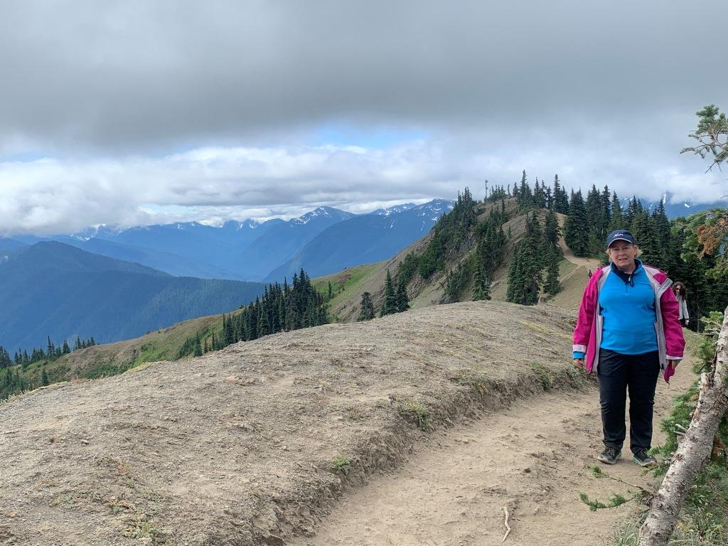Hurricane Ridge Olympic National Park