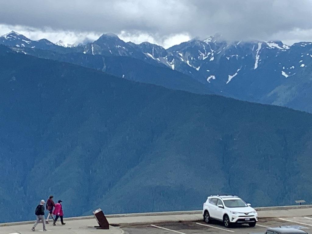 Hurricane Ridge Olympic National Park
