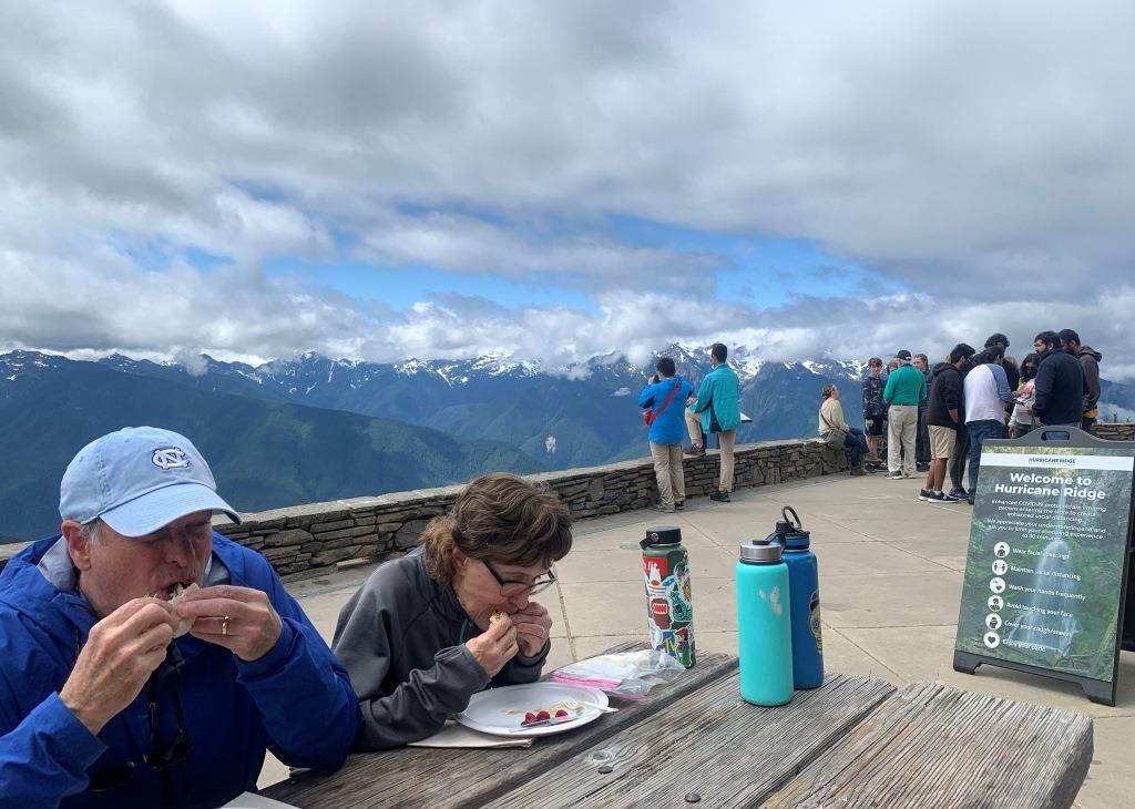 Hurricane Ridge Olympic National Park