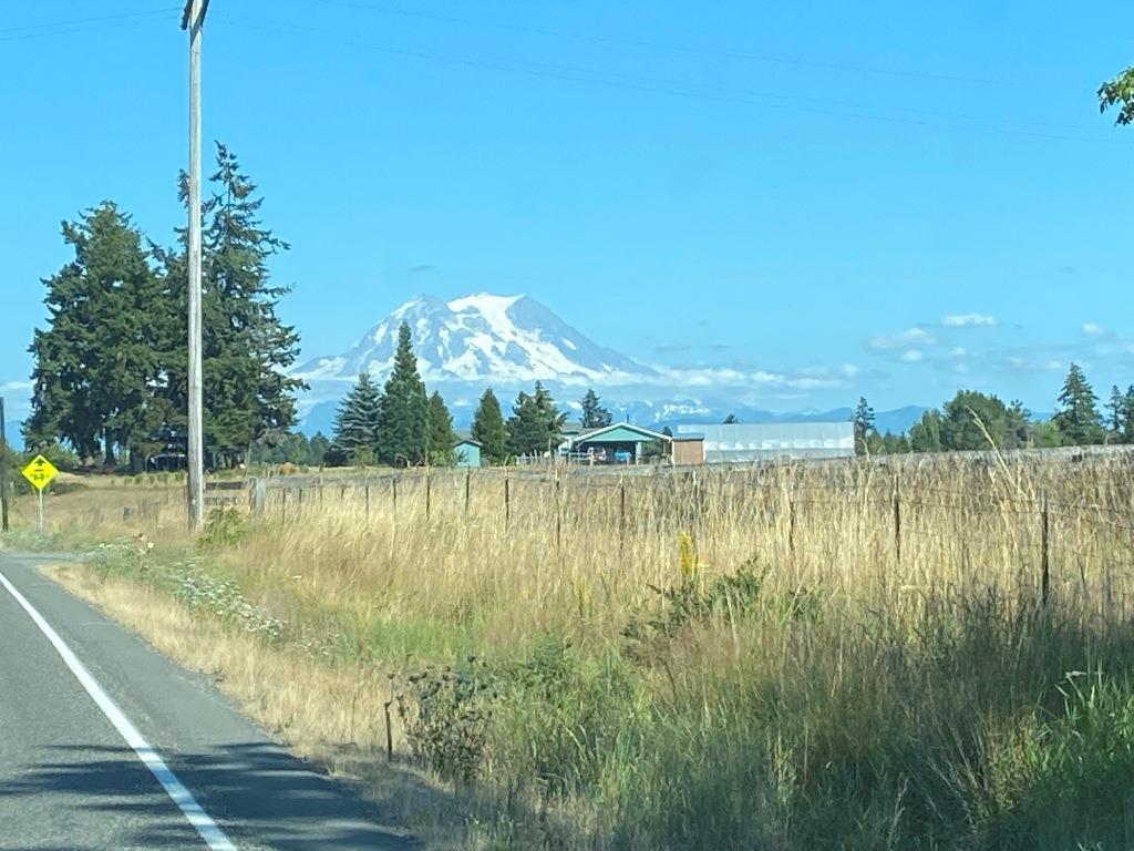 Mount Rainier