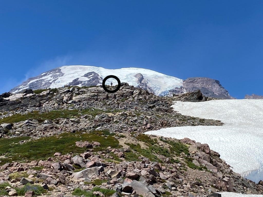 Skyline High Trail