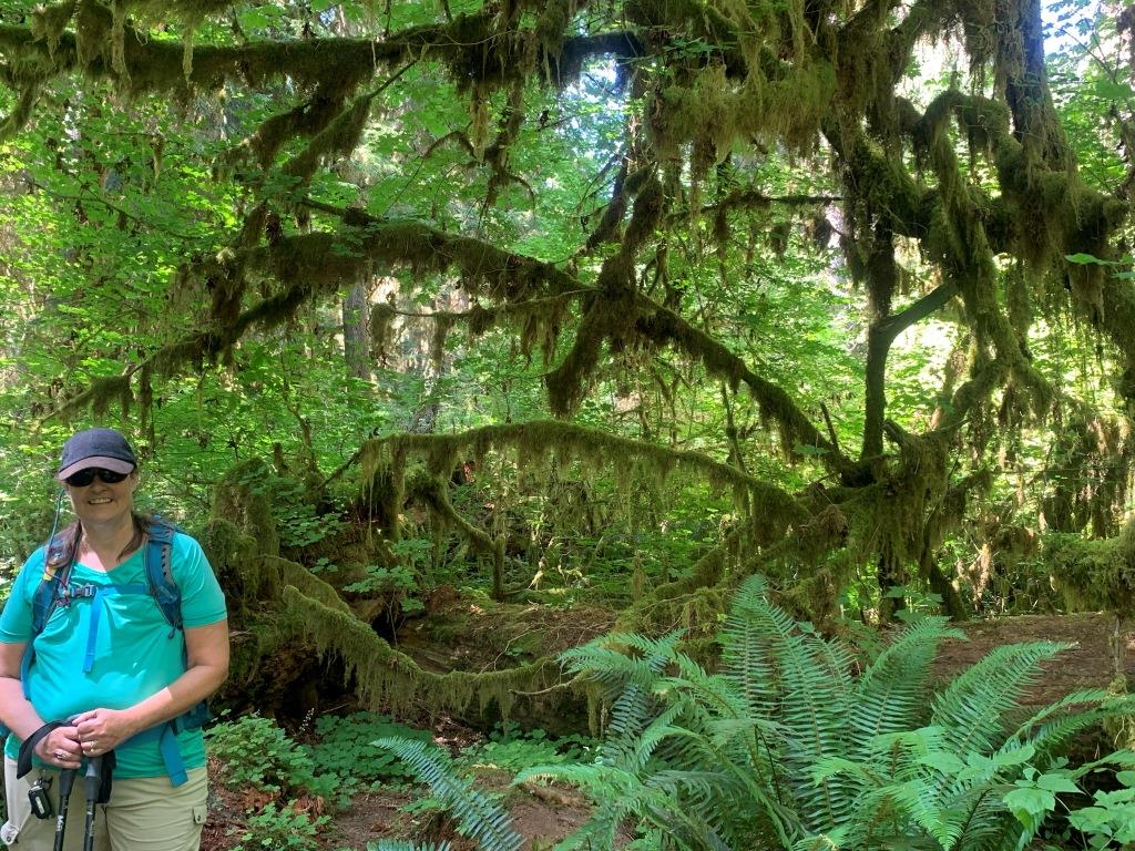 Hoh River Trail