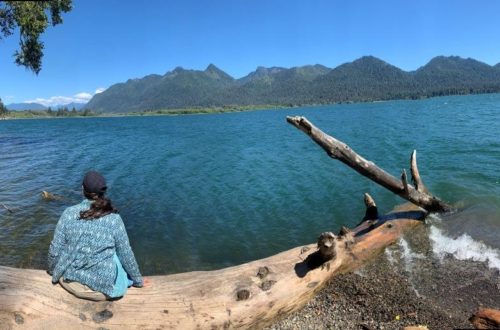 Quinault